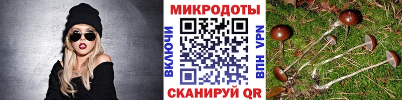 Псилоцибиновые грибы Magic Shrooms  ОМГ ОМГ вход  Игра 